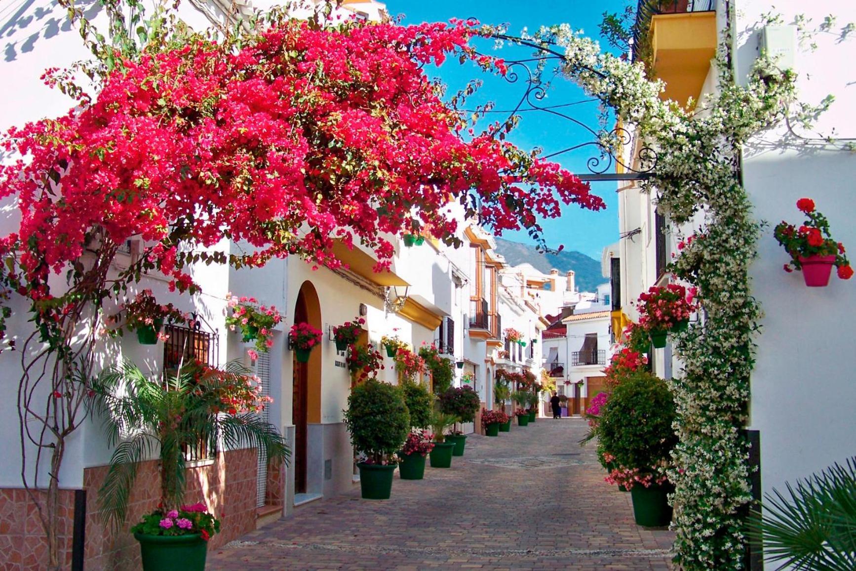 Apartment Modern In The Heart Of - 500 Meters From The Estepona